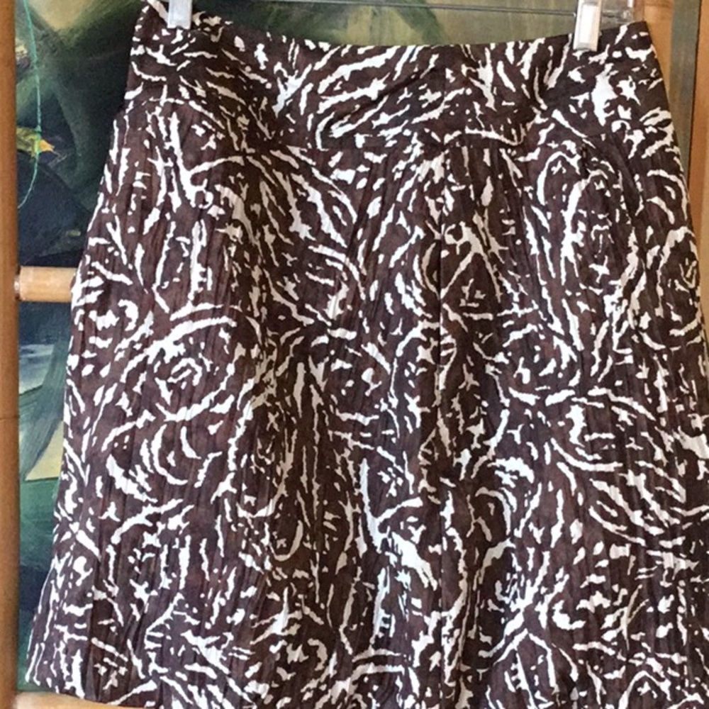 Banana Republic Silk Skirt